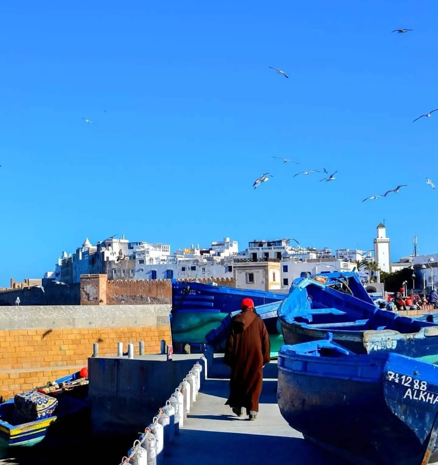 The blue boats of the Essaouira harbour